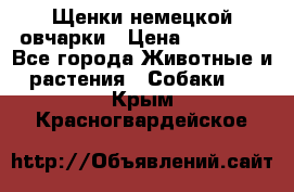 Щенки немецкой овчарки › Цена ­ 30 000 - Все города Животные и растения » Собаки   . Крым,Красногвардейское